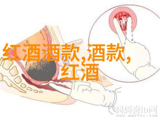收藏照片丢失了能否从云端备份中找回