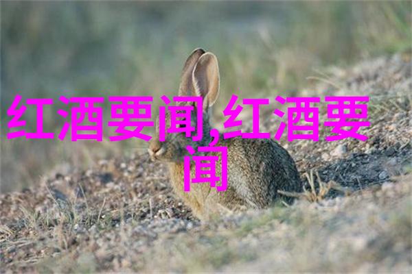 一壶醉人的回忆一场温馨的情怀我和红酒的故事
