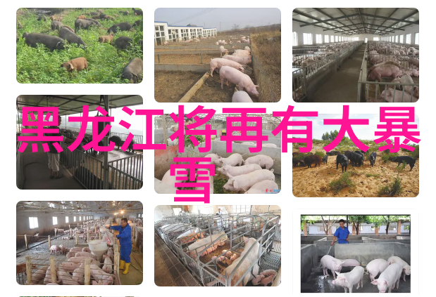 品味法国红酒哪些产区最值得一试