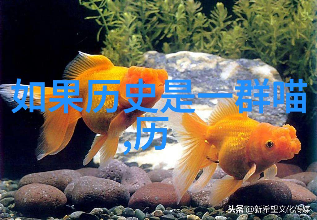 探索人生的深度一些特别有深度的问题的反思