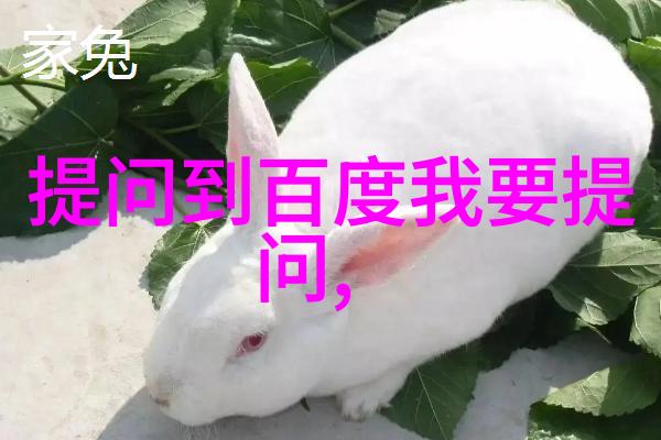 健康之谜解析医生的无价咨询礼
