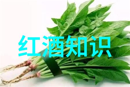 上海周边小镇游玩必去景点TOP10行程指南