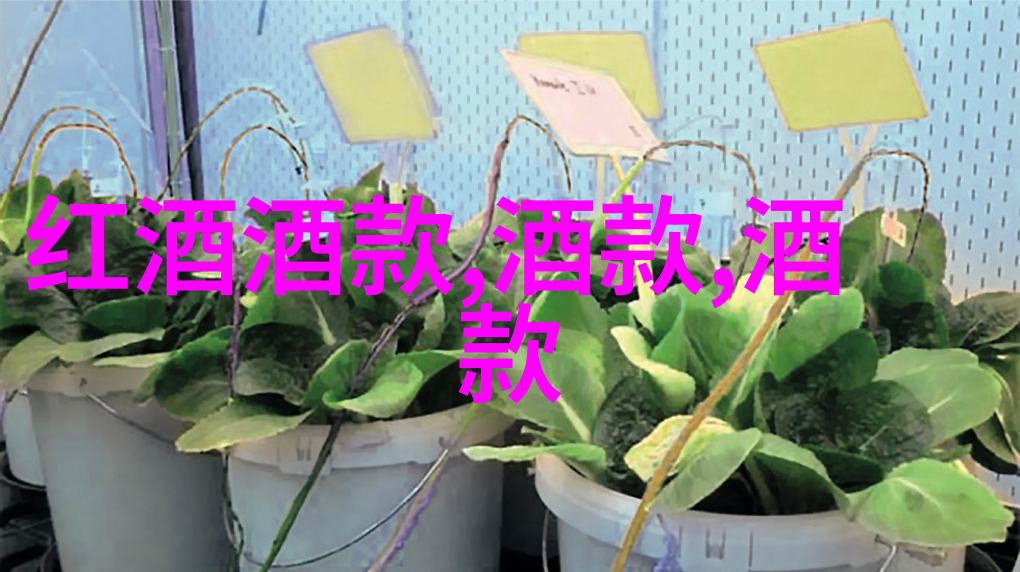 消失的笔触