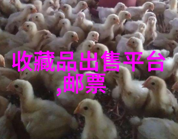 人生意义的探索与自我发现