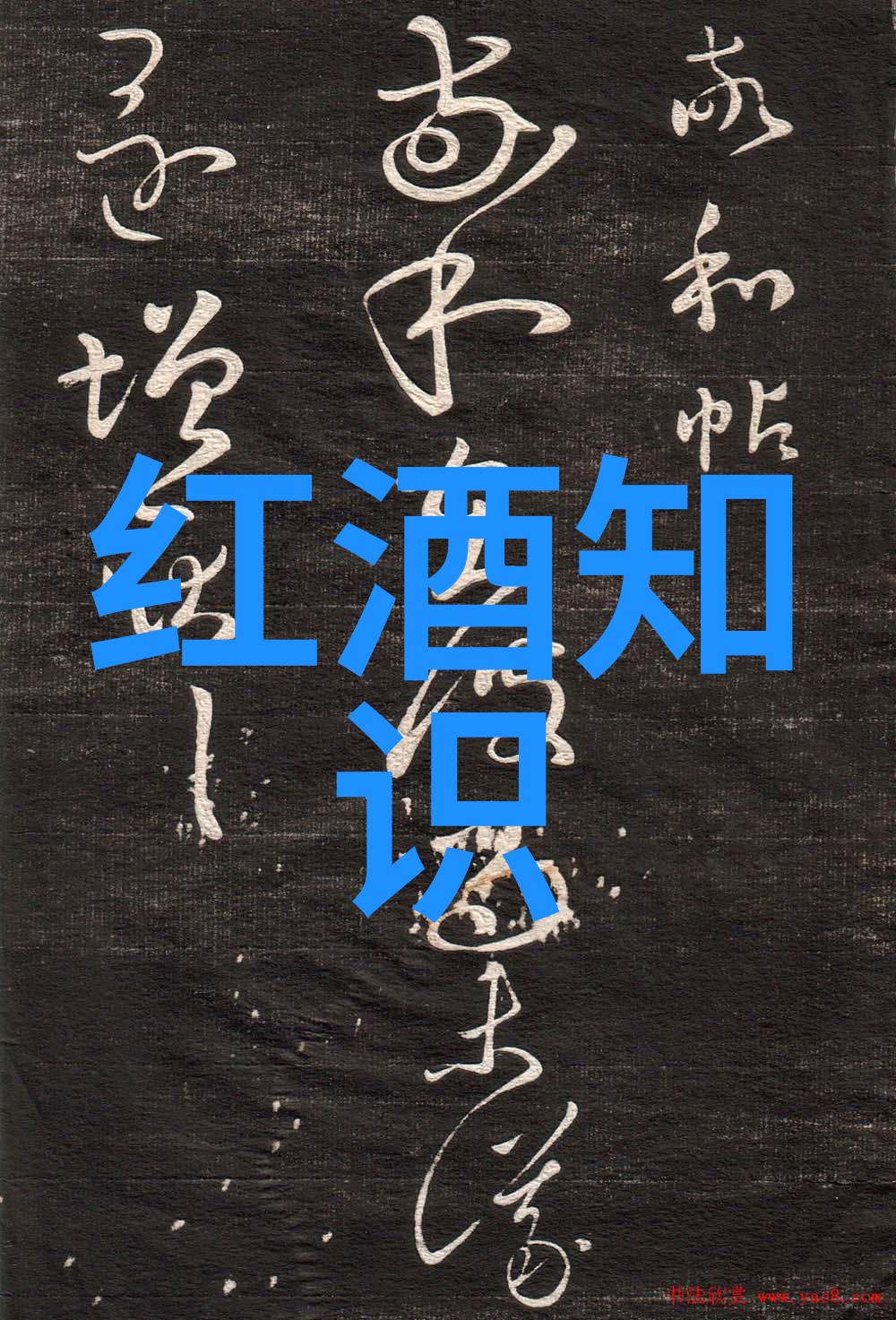 智慧问答机器解锁第一问答网站的笑料宝库