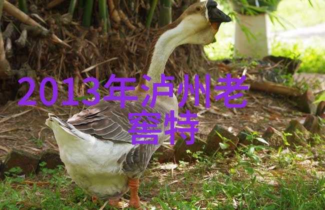 教育界革命未来可期但我们真的准备好迎接这一变化吗