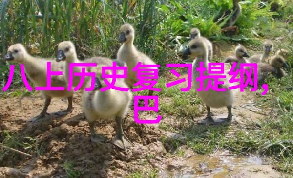 上海周边2天1夜自驾游之探秘金山与南匯的魅力行程