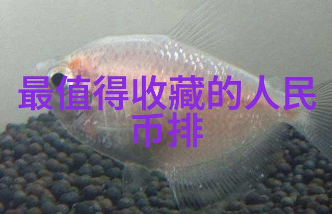复兴往昔荣光现代化改造下的古典风格保留计划