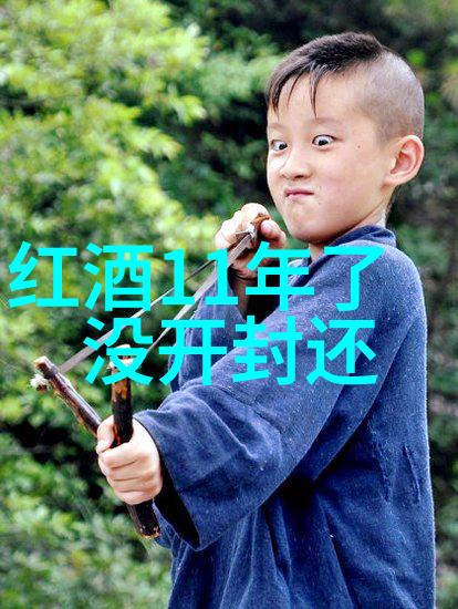 在中国历史著名人物事迹的光辉下罗纳河谷行业协会亚洲区负责人罗安女士提出这样一个问题我们如何通过持续的