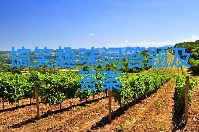 法国葡萄酒之旅探索五大产区的醇香与传统