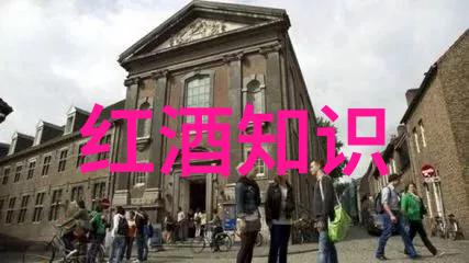 猫怎么看品种我是猫你们问我品种我就说瞎子流浪儿