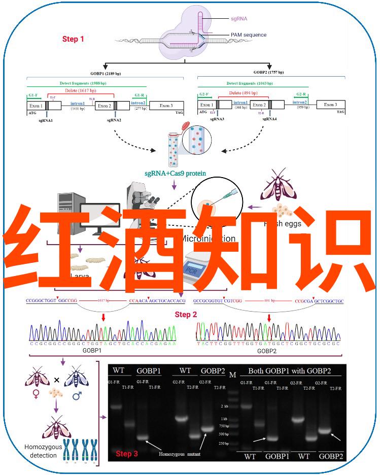 动漫文化-探索可爱之源深度剖析动漫人物图片的设计魅力