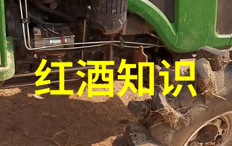 如何辨别进口葡萄酒的真假