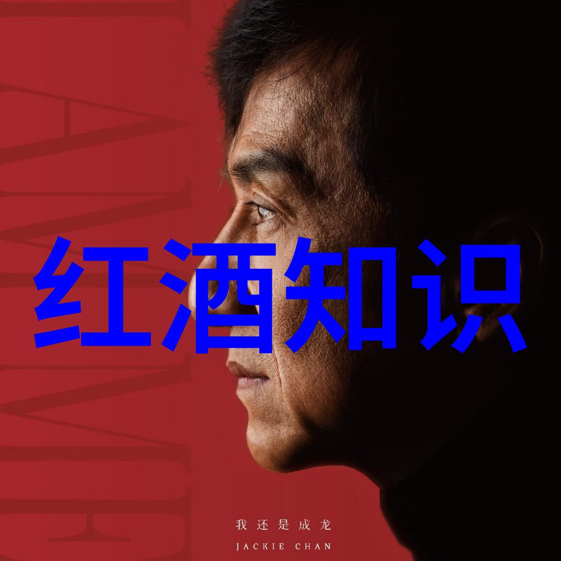 一杯红酒心情说说醉饮时光感怀岁月