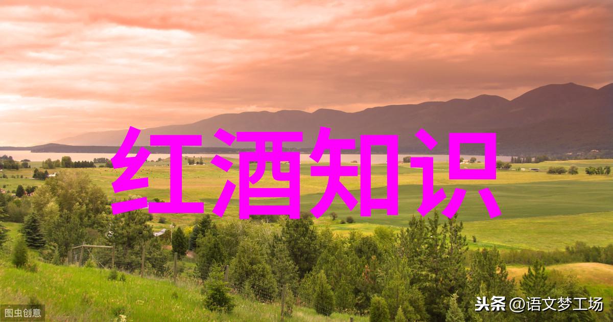 每日分享红酒专业小知识今天我要和你说说如何识别一瓶好红酒