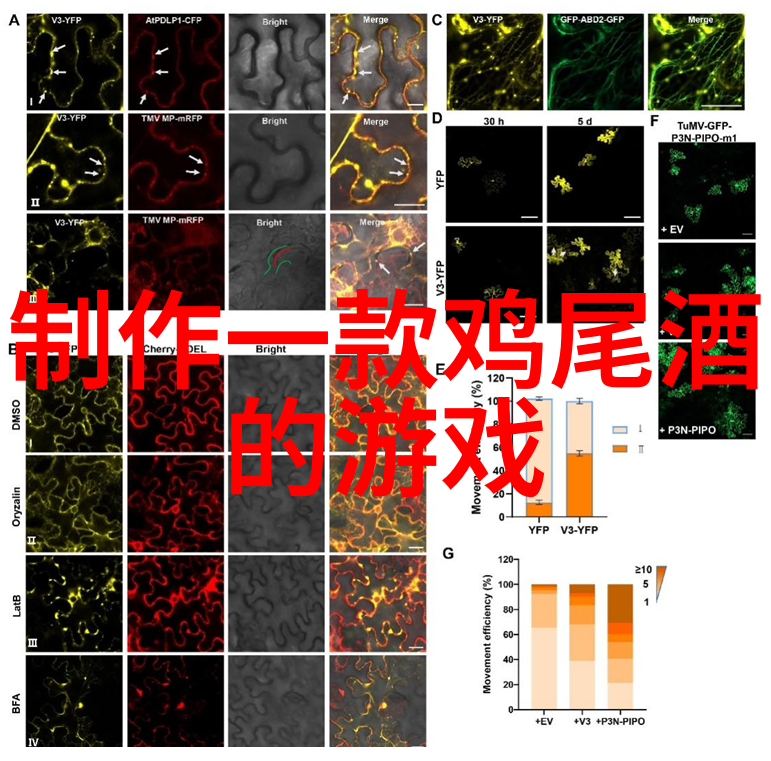 历史唯物主义从铁器到智能手机人类社会的进化史
