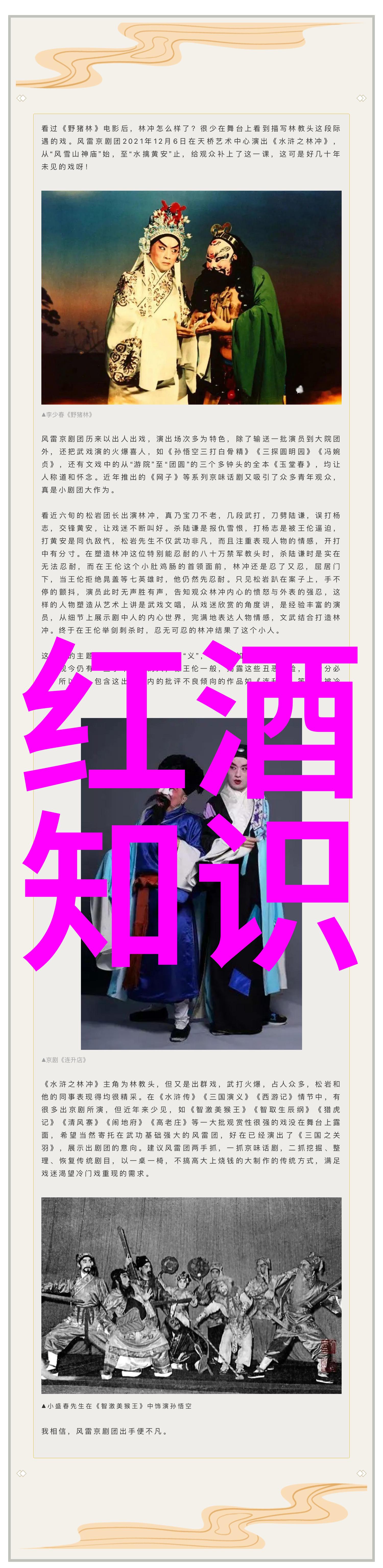 猫的种类大全探秘这些神秘生物的千姿百态
