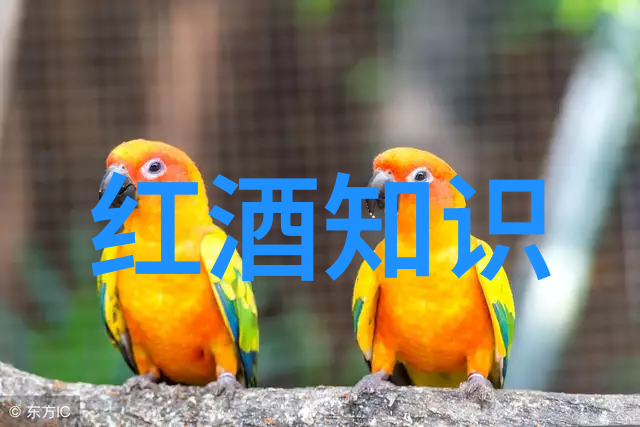 360度快速问答系统全方位知识查询服务