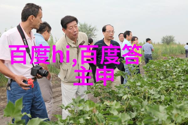 云南红酒庄园的主要种植区域分布在哪里