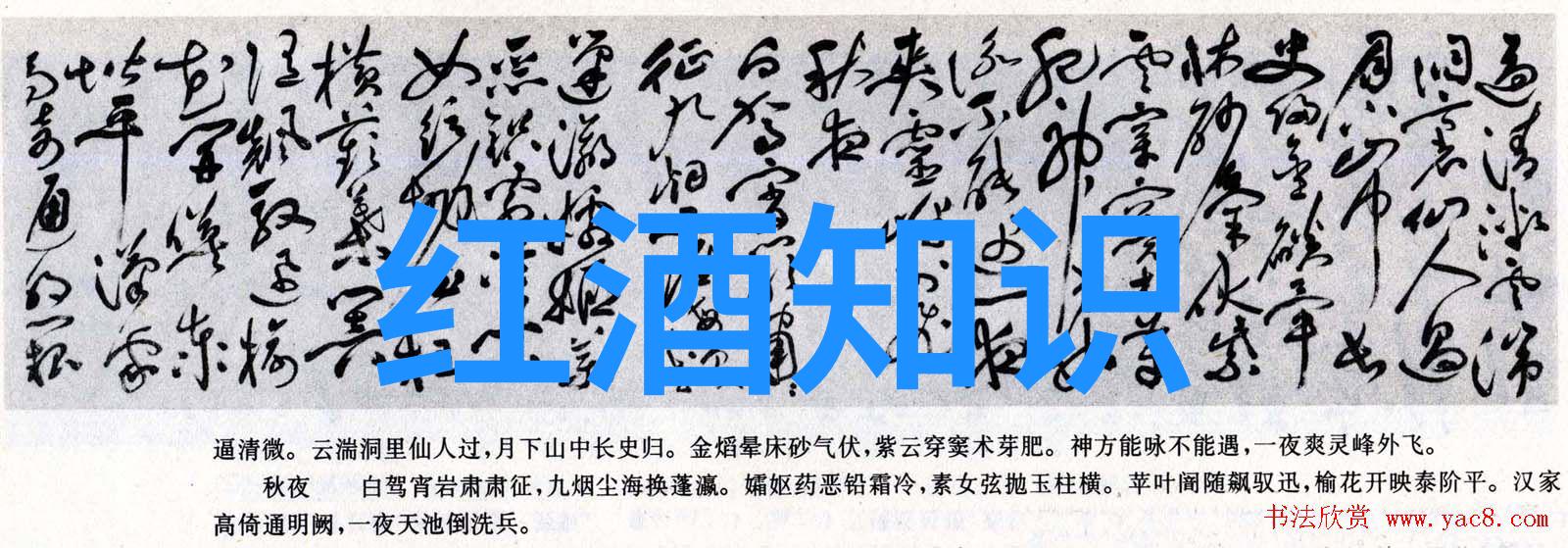 素描真人捕捉瞬间的艺术美