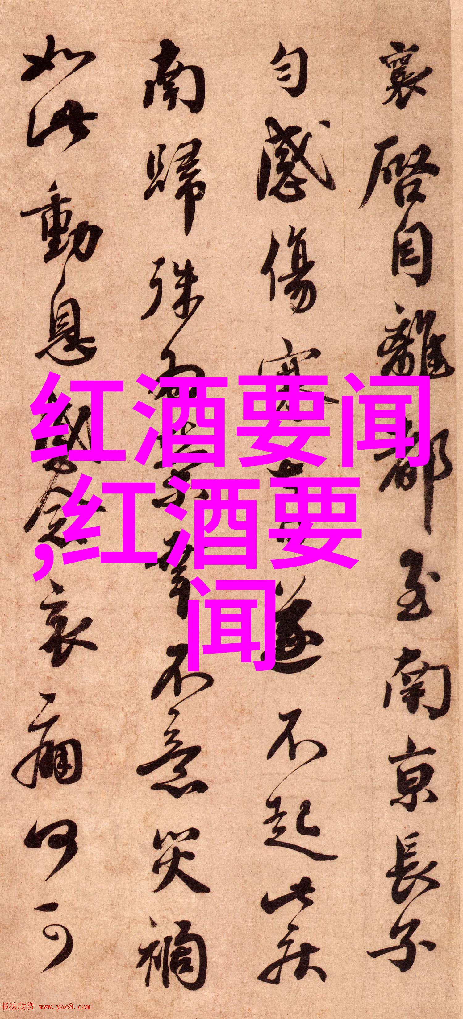 红星照耀下的中国明星们他们的光芒与笑容