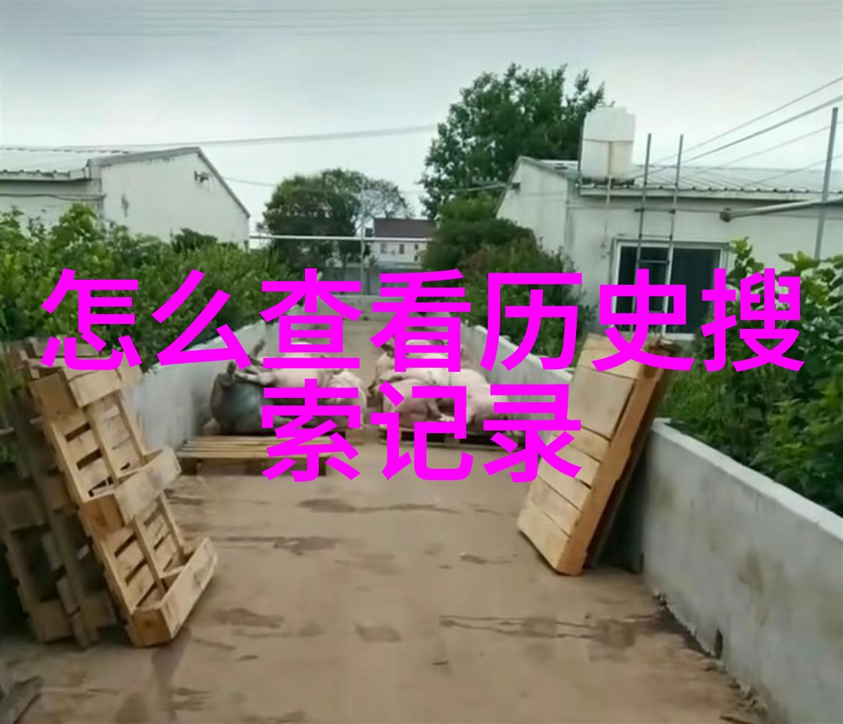 春节旅游逆袭从人山人海到静谧避风港的10大奇迹