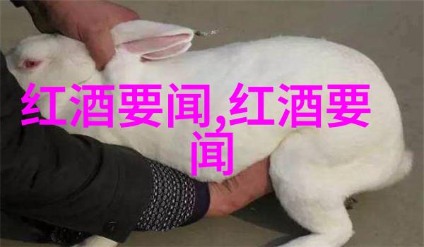 中国十大名人简介你知道吗这些人真的是超级厉害