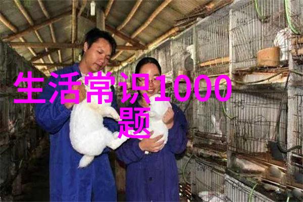 饮茶定亲独龙族婚俗