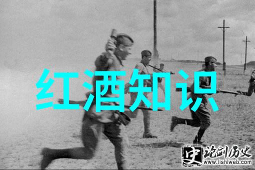香槟的浪漫法国最著名的酿造地之一