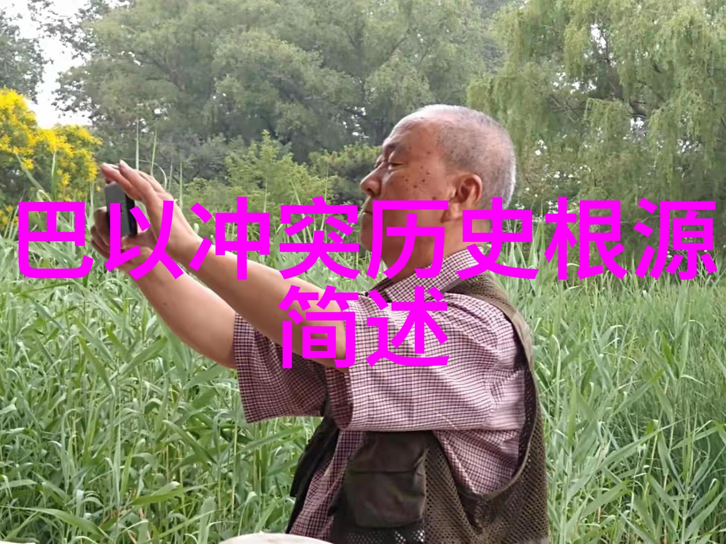上海周边城市游推荐三日游来吧我们去青浦松江金山玩