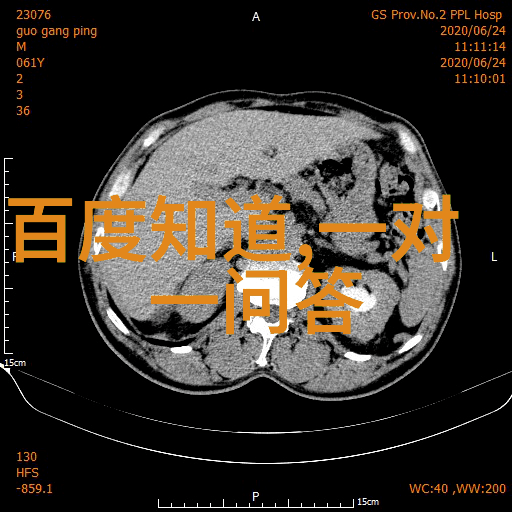 红酒文化探秘WS网站指南