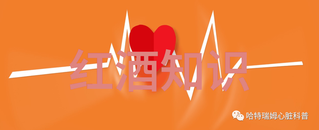 上海周边二日游探秘金山与崇明的魅力