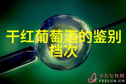 探索知识共享新境界基于人工智能的问答平台在学术研究中的应用与挑战