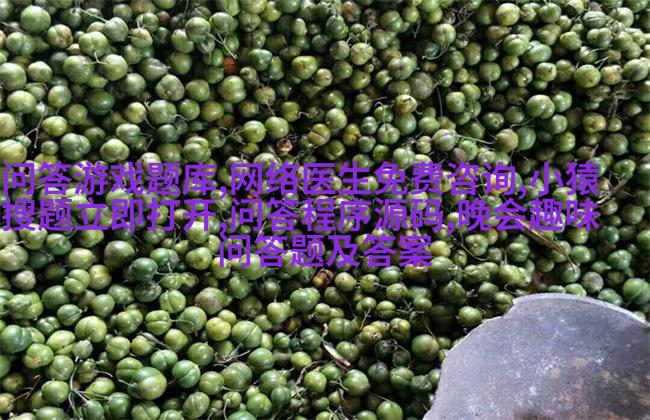 英格兰缝纫机