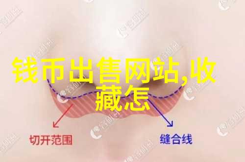 猫咪爱好者揭秘宠物世界我是如何为我的小可爱找到了最 coolest 猫名称