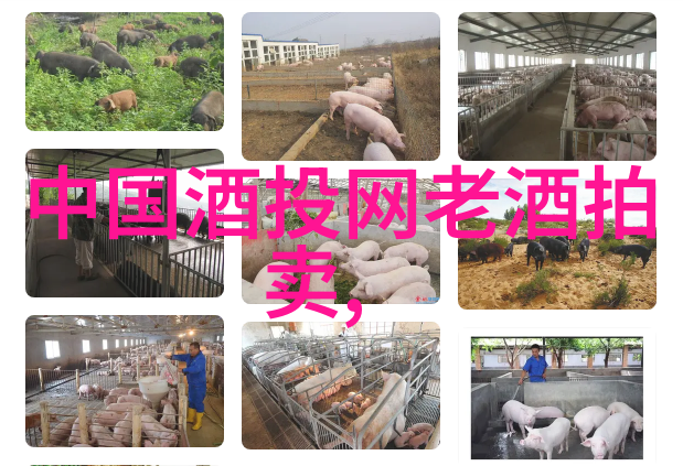主题-当前市场上流行的指数基金种类概览