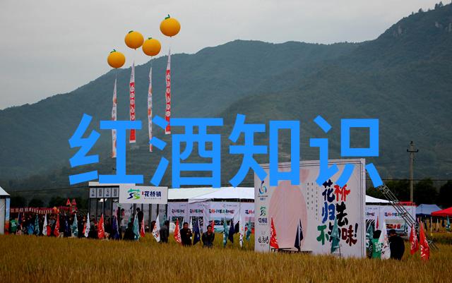 探索上海周边的秘密花园这些小镇有哪些隐藏之宝