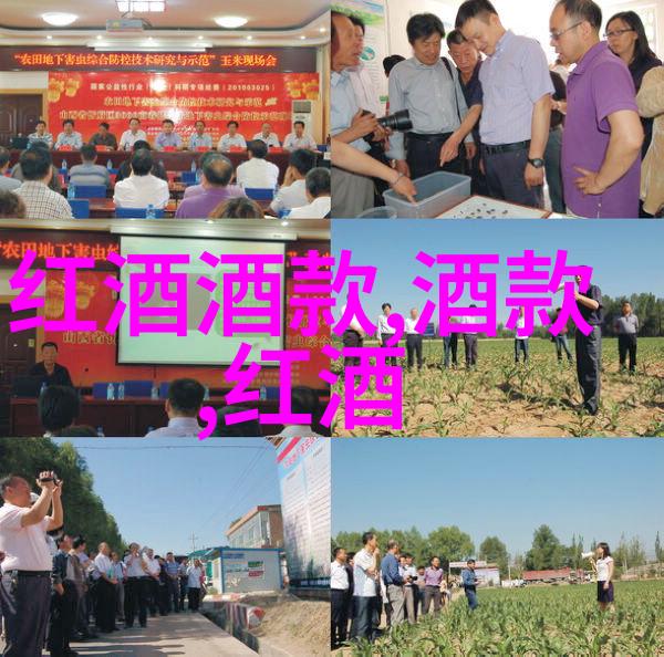 色彩飞扬的梦境卡通人物形象的奇幻世界
