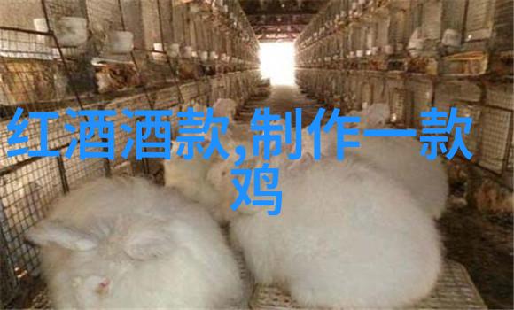 探索它们各自独特的魅力