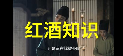 文雅的收藏珍品与言辞