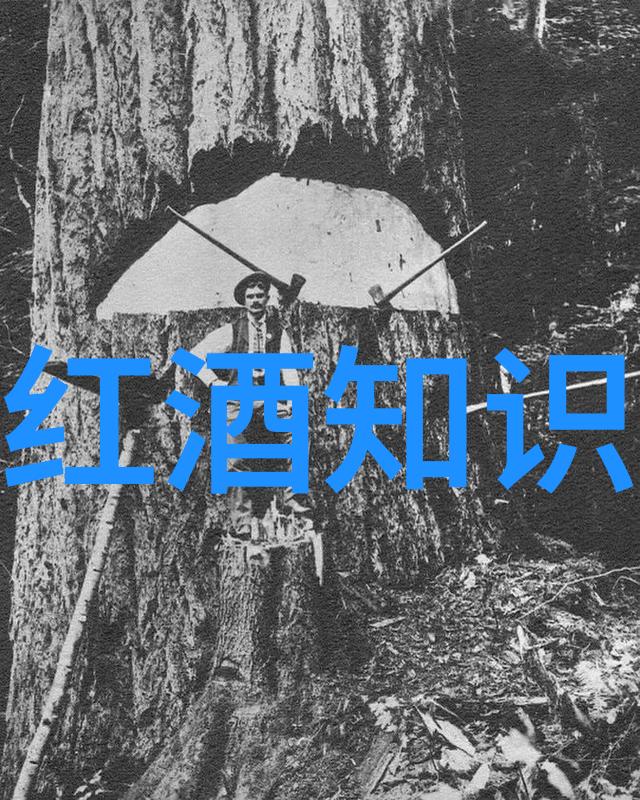 今日蚂蚁庄园答题答案是什么斯丁堡酒庄