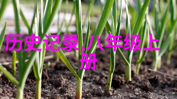 探秘往昔蓝天揭秘古代气候变化的迷雾