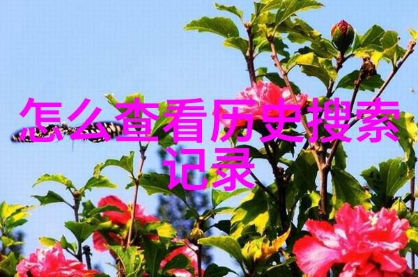 超高清明星素材高分辨率的电影明星头像