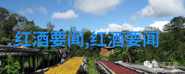 康科德葡萄酿造的葡萄酒味道如何玉米种类图片及名称一览