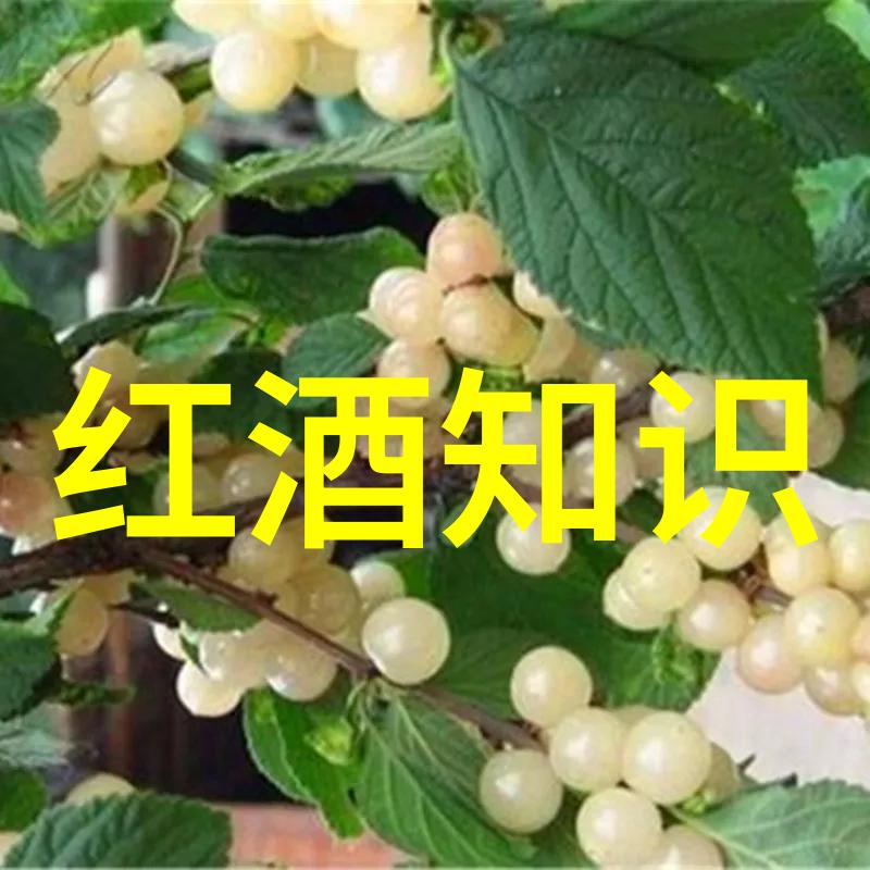 上海周边自驾游必去之地有哪些