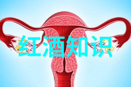 近代杰出代表人物我们眼中的英雄揭秘那些改变世界的先锋们