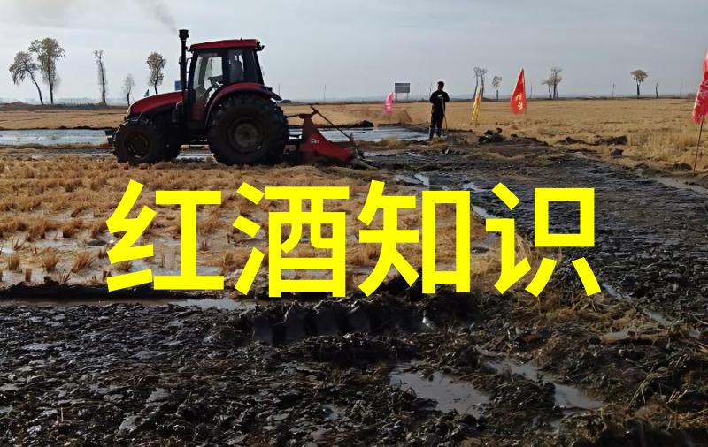 世界葡萄酒产区分布我带你走遍世界各地的葡萄酒天堂