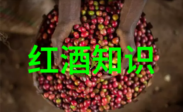 夏威夷群岛夏威夷的美丽风景和丰富活动
