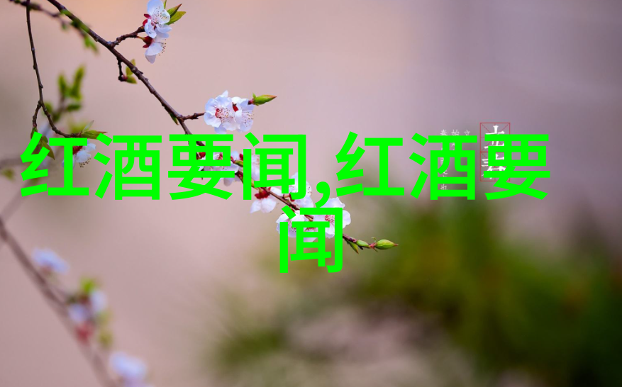 回放时光历史播放过的视频里的故事与记忆