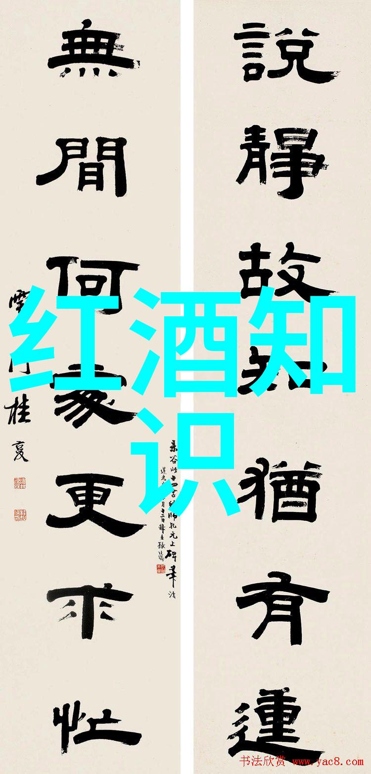 葡萄酒中的女性庆典揭秘收藏功能的美丽之旅
